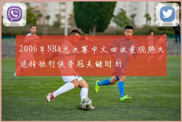 2006年NBA总决赛中文回放重现热火逆转独行侠夺冠关键时刻