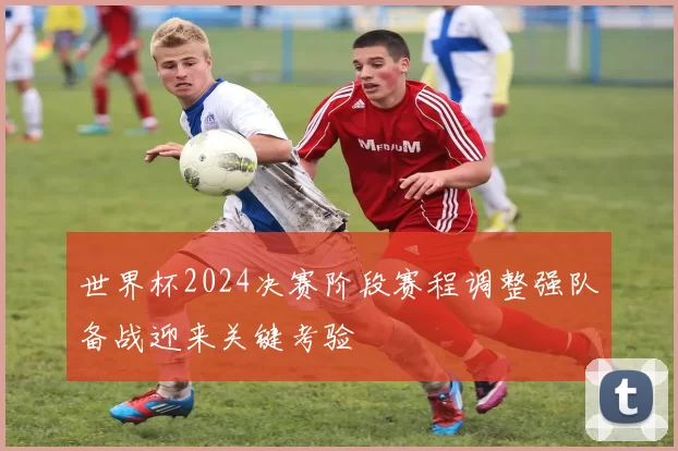 世界杯2024决赛阶段赛程调整强队备战迎来关键考验