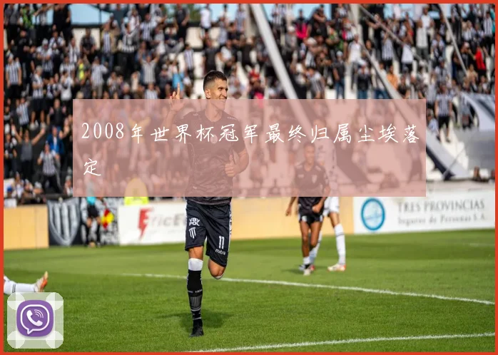 2008年世界杯冠军最终归属尘埃落定