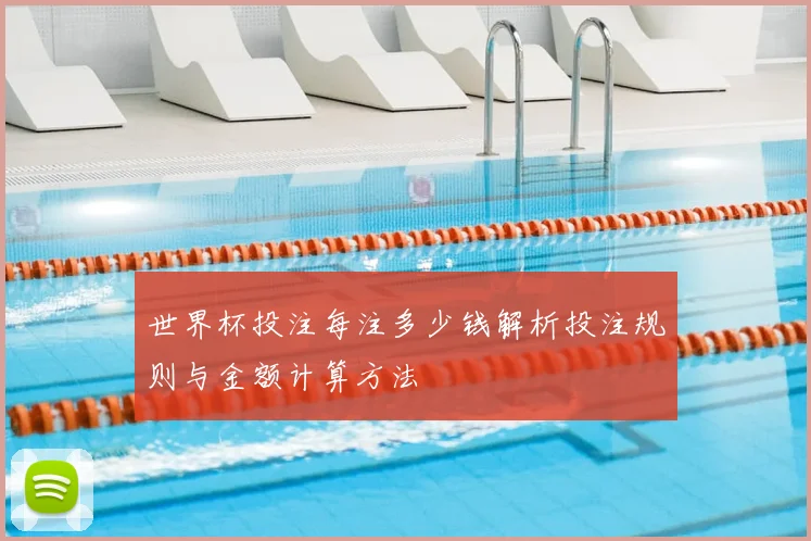 世界杯投注每注多少钱解析投注规则与金额计算方法