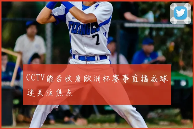 CCTV能否收看欧洲杯赛事直播成球迷关注焦点
