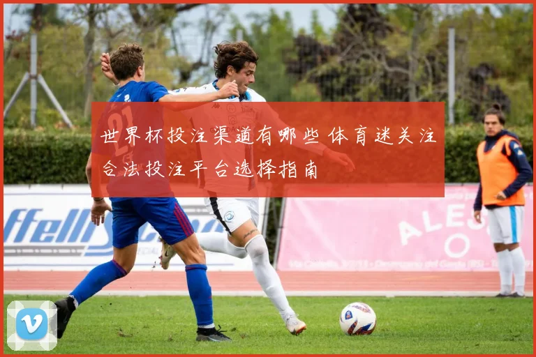 世界杯投注渠道有哪些 体育迷关注合法投注平台选择指南